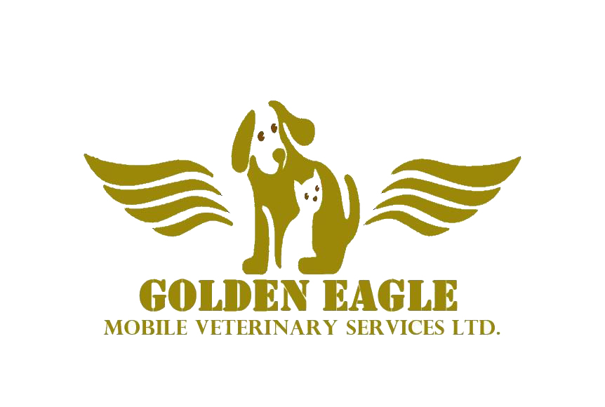 Golden Eagle Vet